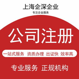 青浦區(qū)代理記賬服務 選擇專業(yè)財務公司助您高效經(jīng)營